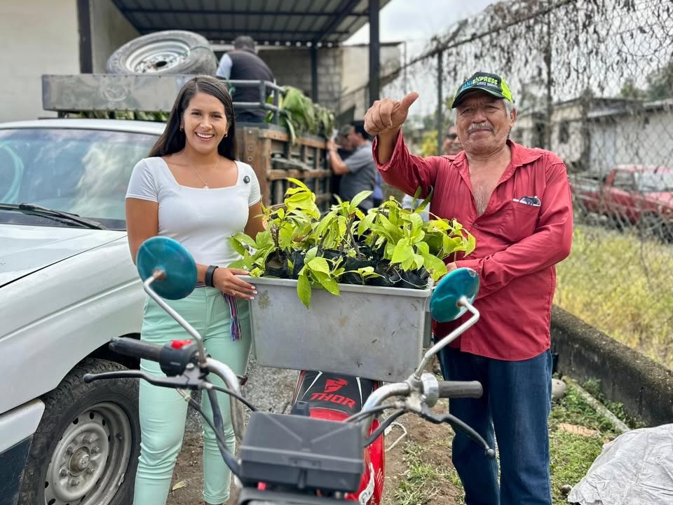 Entrega 3.000 plantas de cacao CCN51 a 30 familias productoras de Puerto Limón